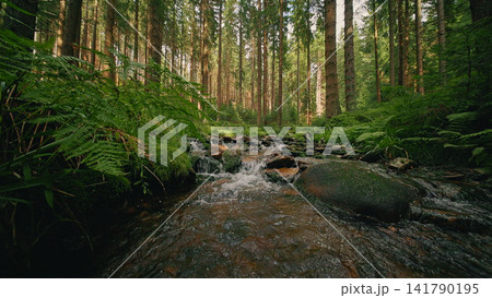 A peaceful woodland creek winding through a lush green forest with moss-covered rocks, crystal-clear water and warm sunlight creating a serene natural landscape and tranquil atmosphere. A peaceful woodland creek winding through a lush green forest with moss-covered rocks, crystal-clear water and warm sunlight creating a serene natural landscape and tranquil atmosphere. 141790195