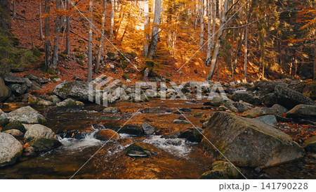 Crystal-clear mountain stream flowing through a vibrant autumn forest with golden foliage and large granite boulders. Peaceful wilderness landscape captured in warm natural light. Crystal-clear mountain stream flowing through a vibrant autumn forest with golden foliage and large granite boulders. Peaceful wilderness landscape captured in warm natural light. 141790228