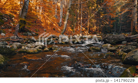 Crystal-clear mountain stream flowing through a vibrant autumn forest with golden foliage and large granite boulders. Peaceful wilderness landscape captured in warm natural light. Crystal-clear mountain stream flowing through a vibrant autumn forest with golden foliage and large granite boulders. Peaceful wilderness landscape captured in warm natural light. 141790229