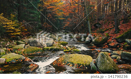 Crystal-clear mountain stream flowing through a vibrant autumn forest with golden foliage and large granite boulders. Peaceful wilderness landscape captured in warm natural light. Crystal-clear mountain stream flowing through a vibrant autumn forest with golden foliage and large granite boulders. Peaceful wilderness landscape captured in warm natural light. 141790236
