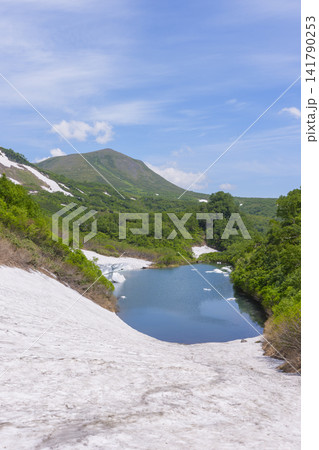 北海道大雪山 大雪高原沼と残雪が彩る初夏の絶景ハイキング 141790253