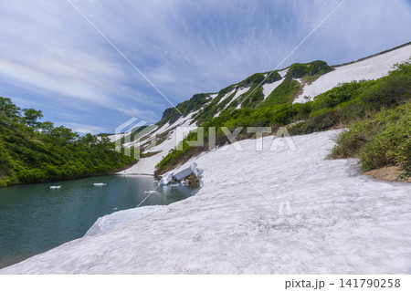 北海道大雪山 大雪高原沼と残雪が彩る初夏の絶景ハイキング 北海道大雪山 大雪高原沼と残雪が彩る初夏の絶景ハイキング 141790258