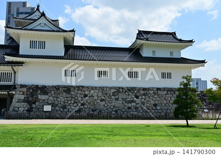 富山市郷土博物館と芝生(富山城) 富山市郷土博物館と芝生(富山城) 141790300