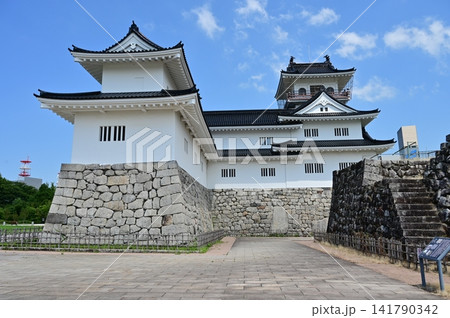 富山城址公園と石畳（富山城） 141790342