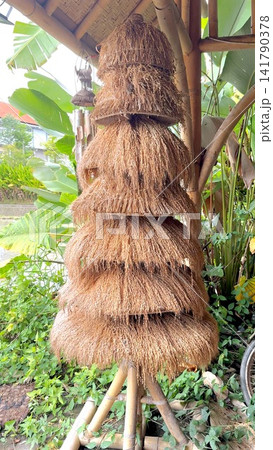 Stacked thatch lantern shades hanging under bamboo pavilion, surrounded by tropical foliage and banana leaves, showing layered dry straw texture, rounded tiered forms, rustic handcrafted detail 141790378