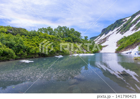 北海道大雪山 高原沼と環水平アークが彩る残雪の絶景 141790425