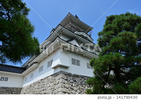 天守閣と松の木(富山城址公園・富山城) 天守閣と松の木(富山城址公園・富山城) 141790430