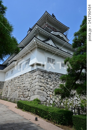 天守閣と松の木(富山城址公園・富山城) 天守閣と松の木(富山城址公園・富山城) 141790484
