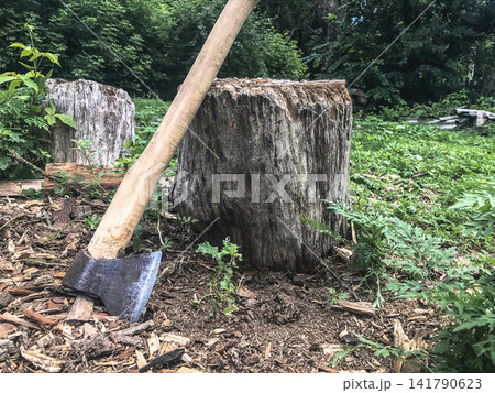 Old axe leaning against a tree stump in the forest Old axe leaning against a tree stump in the forest 141790623