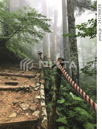 Foggy forest trail with rope handrail Foggy forest trail with rope handrail 141790639
