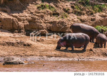 Kenya Photographers By Antony Trivet Photography Kenya Photographers By Antony Trivet Photography 141791016