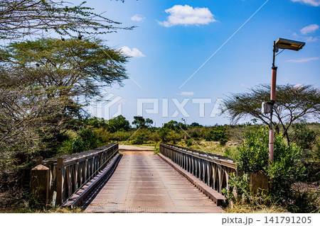 Kenya Photographers By Antony Trivet Photography 141791205