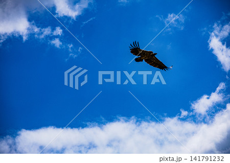 Kenya Photographers By Antony Trivet Photography 141791232