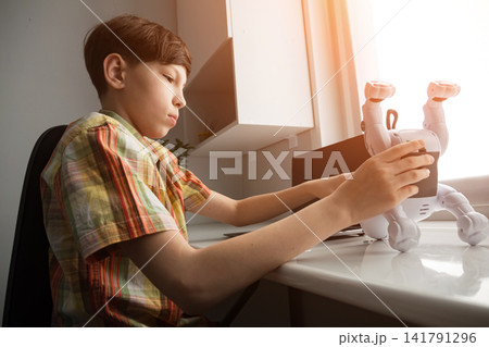 Young boy programming robot dog toy on desk Young boy programming robot dog toy on desk 141791296