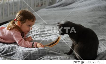 Child playing with cat on bed using feather toy Child playing with cat on bed using feather toy 141791439