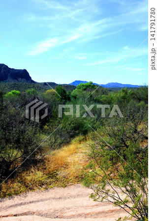 Salt River Recreation Area Arizona Salt River Recreation Area Arizona 141791780