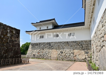 富山城址公園の石垣と鏡石（富山城） 141791969