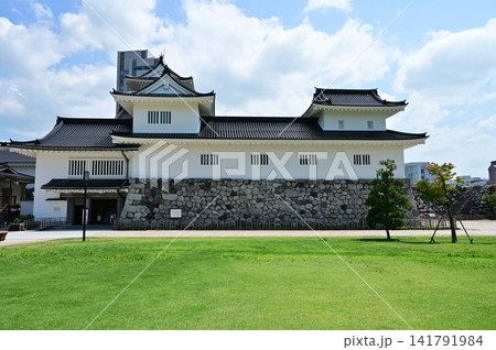 富山市郷土博物館と芝生(富山城) 富山市郷土博物館と芝生(富山城) 141791984