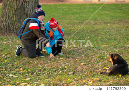 In autumn, children play with a dog in the park, dressed in warm clothes and with backpacks on their backs In autumn, children play with a dog in the park, dressed in warm clothes and with backpacks on their backs 141792200