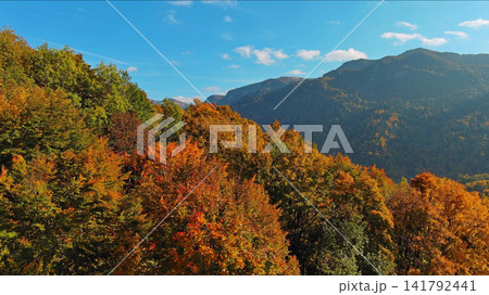 Aerial view of mountain range with vibrant autumn forest Aerial view of mountain range with vibrant autumn forest 141792441