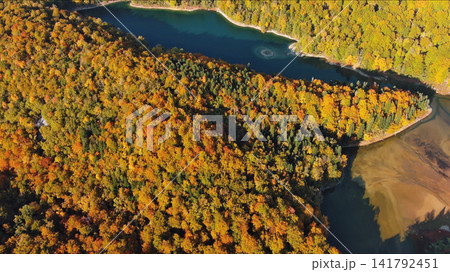 Biogradsko lake surrounded by mountains covered with bright autumn trees 141792451
