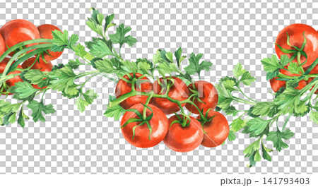 Seamless border of the green onion, tomatoes and parsley. Watercolor illustration. Handmade art work. For packaging design, cards, cover, prints, product labels and fabric. 141793403