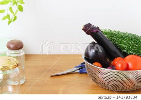 家庭菜園で収穫した夏野菜と園芸用品 141793534