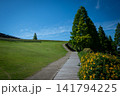 青空に続く道 141794225