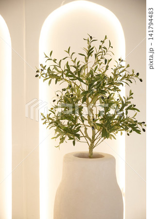 Large white vase with olive tree against illuminated glowing arches in minimalist interior Large white vase with olive tree against illuminated glowing arches in minimalist interior 141794483