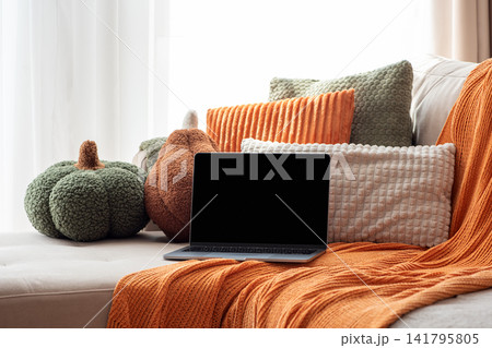 Cozy Living Room Setup With Autumn Decor and Laptop Cozy Living Room Setup With Autumn Decor and Laptop 141795805