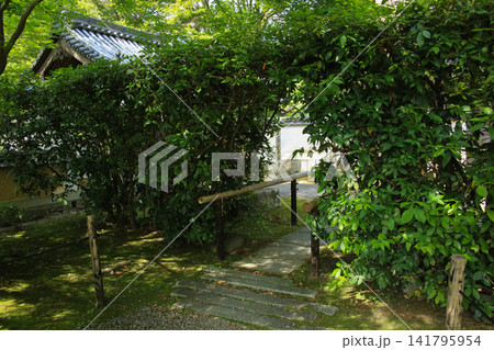 愛媛県宇和島市 大乗寺 愛媛県宇和島市 大乗寺 141795954
