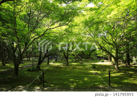 愛媛県宇和島市 大乗寺 愛媛県宇和島市 大乗寺 141795955