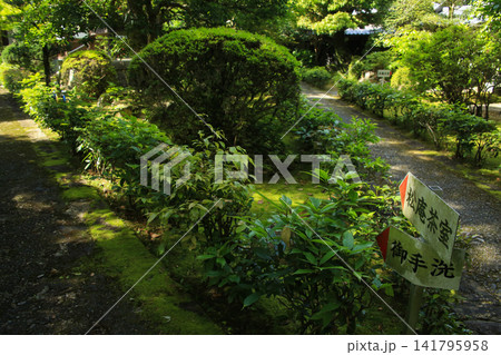愛媛県宇和島市　大乗寺 141795958