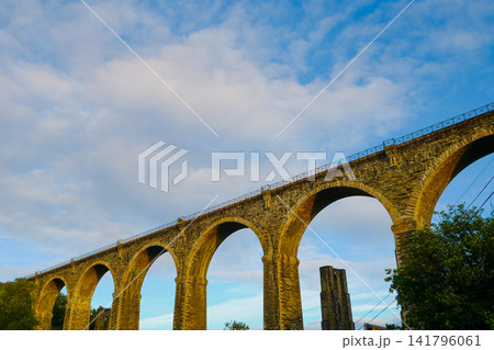 Historical Moorswater viaduct near Liskeard, Cornwall, UK Historical Moorswater viaduct near Liskeard, Cornwall, UK 141796061