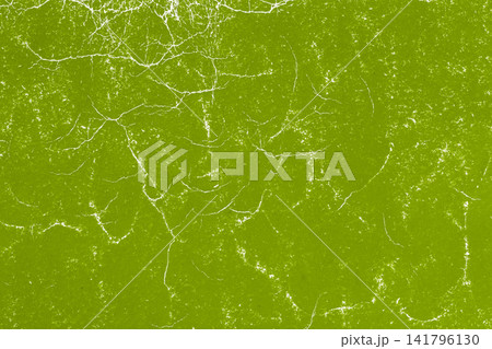 Lime Green Cracked Grunge Texture Background. Bright lime green surface with white cracks, scratches and distressed details. Abstract grunge texture, vivid background for modern color design Lime Green Cracked Grunge Texture Background. Bright lime green surface with white cracks, scratches and distressed details. Abstract grunge texture, vivid background for modern color design 141796130