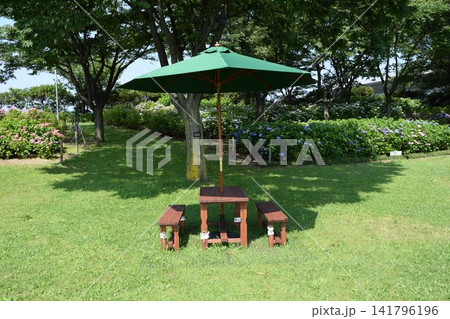 公園のベンチ 141796196
