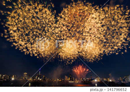夜空に広がる黄金の花火 141796652