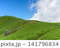 初夏の霧ヶ峰・美ヶ原エリア、どこまでも続く三峰山への美しい稜線（長野県） 141796834