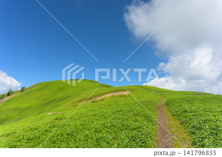 初夏の霧ヶ峰・美ヶ原エリア、どこまでも続く三峰山への美しい稜線(長野県) 初夏の霧ヶ峰・美ヶ原エリア、どこまでも続く三峰山への美しい稜線(長野県) 141796835