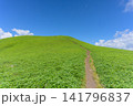 初夏の霧ヶ峰・美ヶ原エリア、どこまでも続く三峰山への美しい稜線（長野県） 141796837