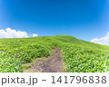 初夏の霧ヶ峰・美ヶ原エリア、どこまでも続く三峰山への美しい稜線（長野県） 141796838