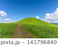 初夏の霧ヶ峰・美ヶ原エリア、どこまでも続く三峰山への美しい稜線（長野県） 141796840