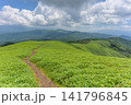 初夏の霧ヶ峰・美ヶ原エリア、どこまでも続く三峰山への美しい稜線（長野県） 141796845