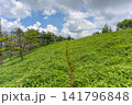 初夏の霧ヶ峰・美ヶ原エリア、どこまでも続く三峰山への美しい稜線（長野県） 141796848