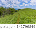 初夏の霧ヶ峰・美ヶ原エリア、どこまでも続く三峰山への美しい稜線（長野県） 141796849
