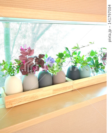 窓辺に並ぶ花瓶と草花 丁寧な暮らし 挿し木 室内ガーデニング ナチュラルインテリア 141797084