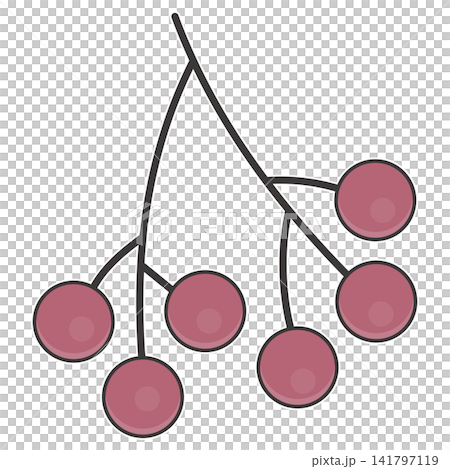 Flat style sticker illustration of a rowan berry cluster on a twig isolated on transparent background. Autumn mountain ash berry botanical vector design element for fall asset. Flat style sticker illustration of a rowan berry cluster on a twig isolated on transparent background. Autumn mountain ash berry botanical vector design element for fall asset. 141797119