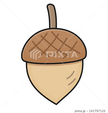 Flat style sticker illustration of an oak acorn seed isolated on transparent background. Autumn nut forest element vector graphic icon design for fall seasonal creative project asset. 141797120