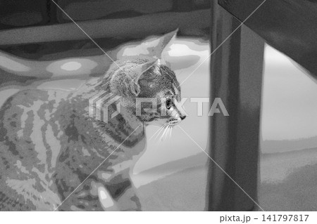 スケッチ風 猫 ネコ ねこ キジトラ グレー 雌 メス 雌ねこ 雌ネコ 元気 かわいい 癒し スケッチ風 猫 ネコ ねこ キジトラ グレー 雌 メス 雌ねこ 雌ネコ 元気 かわいい 癒し 141797817