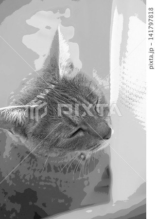 スケッチ風 猫 ネコ ねこ キジトラ グレー 雌 メス 雌ねこ 雌ネコ 元気 かわいい 癒し 141797818